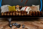 Moxy Denver Cherry Creek - Image 9
